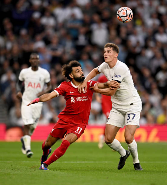 的雄心壮志 的雄心壮志